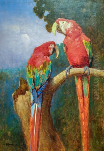 Parakeets - view 1
