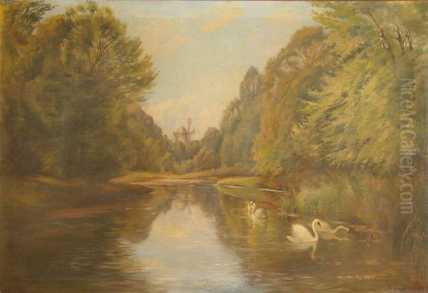 View of a lake with swans. - view 1