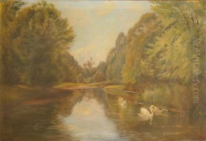 View of a lake with swans. by Simony Jensen
