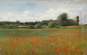 Campo di papaveri