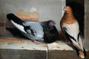Two Pigeons on a Ledge by unknown