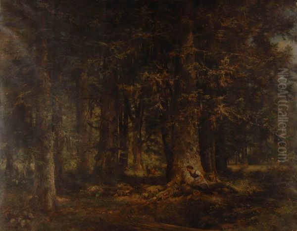 Hohwaldpartie - view 1