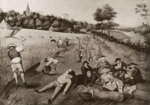 the wheat harvest