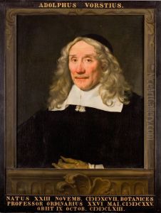 Portret van Adolphus Vorstius, hoogleraar Geneeskunde en Kruidkunde te Leiden