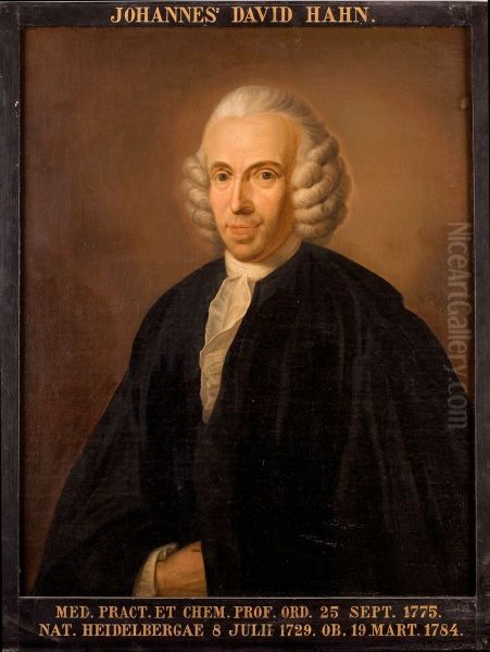 Portret van Johannes David Hahn, hoogleraar Geneeskunde te Leiden - view 1