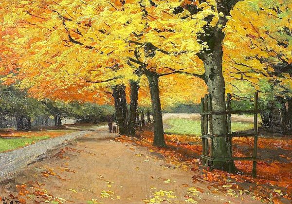 Scenery in autumn. - view 1