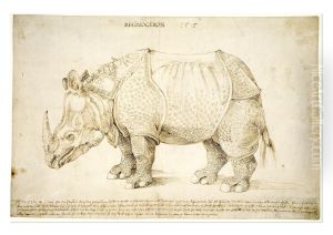 Rhinoceros (preparatory study) 1515