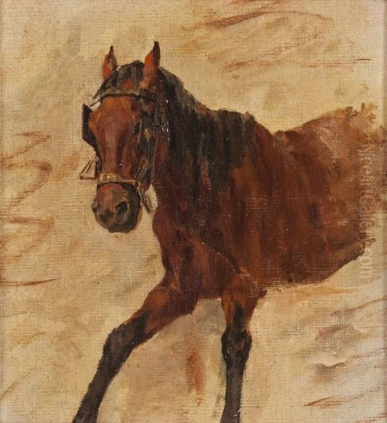 Cavallo - view 1