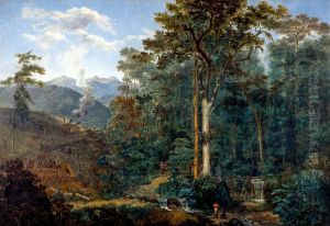 View of a virgin forest reduced to charcoal