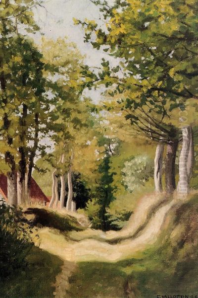 Sous-bois - view 1