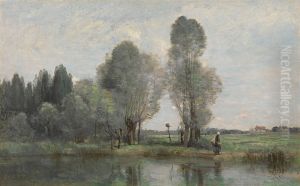 Saules pres d'un ruisseau. Limousin