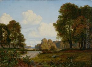 View from Dyrehaven, Jaegersborg.