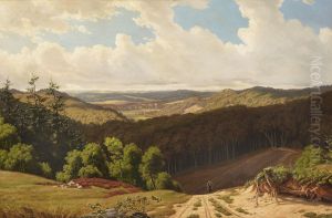 A hilly landscape in Jutland.