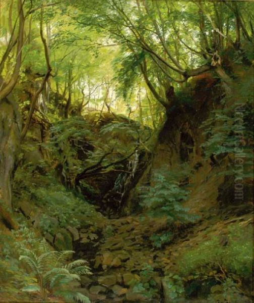 A wooded glade. - view 1