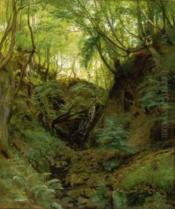 A wooded glade. A wooded glade.