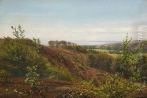 A landscape with hills and a view of an inlet.