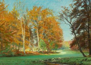 A glade in the woods. by Christian Zacho