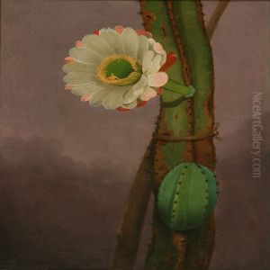 Cactus Hemgenia by Johannes Ludwig Camradt