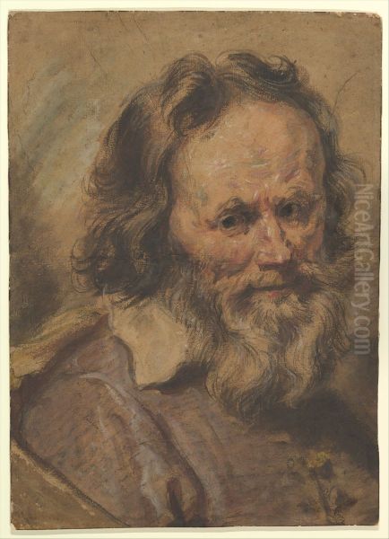 Head of a Bearded Man - view 1
