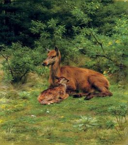 A doe and her fawn in a thicket A doe and her fawn in a thicket