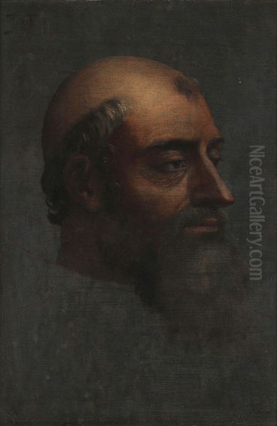 Portrait of Clement VII with beard - view 1