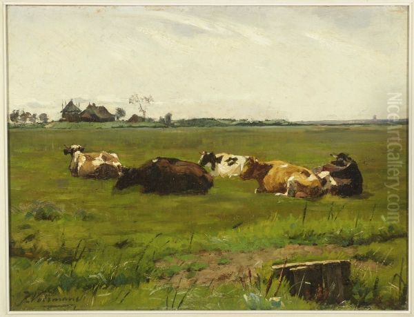 Weide met koeien. - view 1