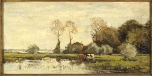 Koeien aan een plas. Koeien aan een plas.