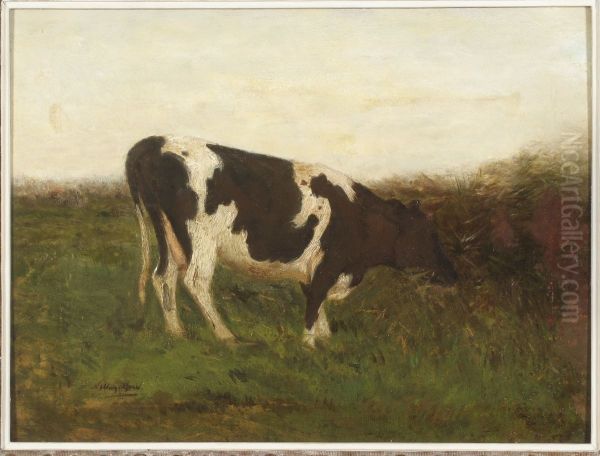 Koe aan een sloot. - view 1