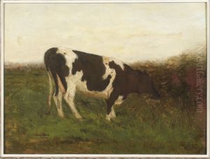 Koe aan een sloot. Koe aan een sloot.