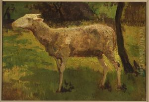 Schaap. Schaap.