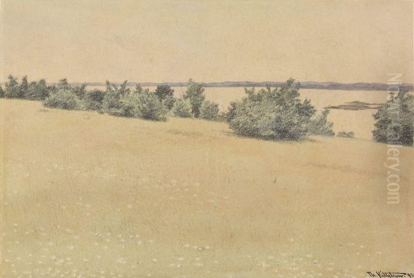 Meadow and Trees by the Sea - view 1