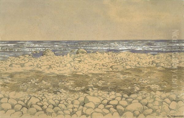 Waves breaking and Seabirds - view 1