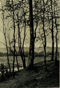 Jesen III by Srecko Magolic