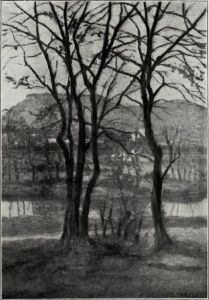 Jesen II by Srecko Magolic