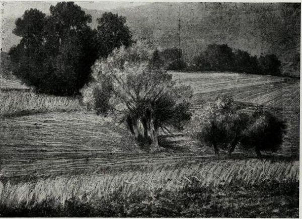 Krajina II - view 1