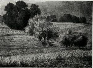 Krajina II by Srecko Magolic
