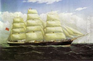 Dunedin by Frederick Tudgay