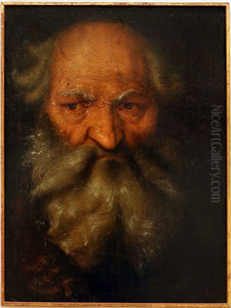 Head of an Old Man - view 1