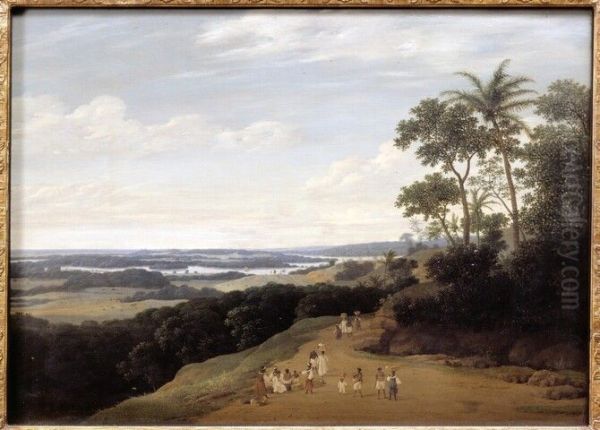Braziliaans landschap - view 1