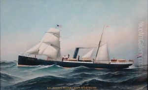 Het ss. Oranje Nassau van de Koninklijke West Indische Maildienst by Antonio Nicolo Gasparo Jacobsen