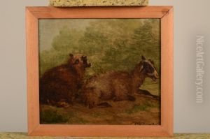 Twee liggende schapen by Pieter Plas