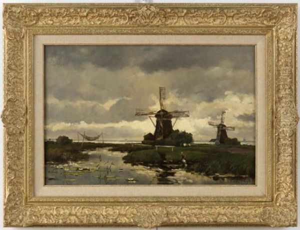 Molens in waterlandschap bij Nieuwkoop - view 1