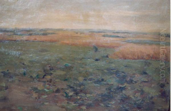 Landschap met aardappelvelden en gerst - view 1