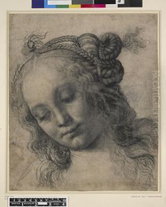 Head of a Young Woman in Three-Quarter View Facing to the Left (recto) by Andrea Del Verrocchio