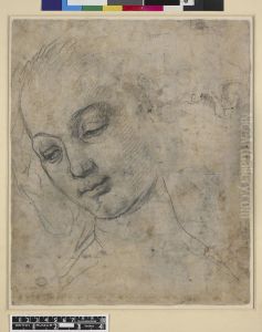 Head of a Young Woman in Three-Quarter View (verso) by Andrea Del Verrocchio