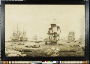 Walvisvaarders in bedrijf