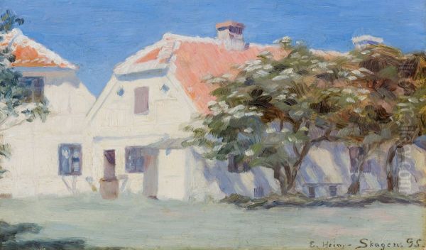Houses and elder trees. Skagen Vesterby. - view 1