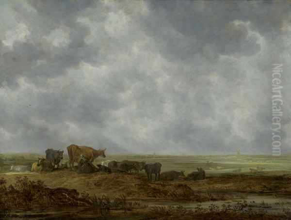 Vergezicht over een vlak landschap - view 1