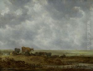 Vergezicht over een vlak landschap