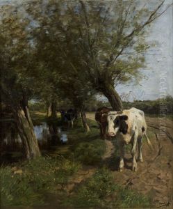 Een schaduwrijke oever Een schaduwrijke oever